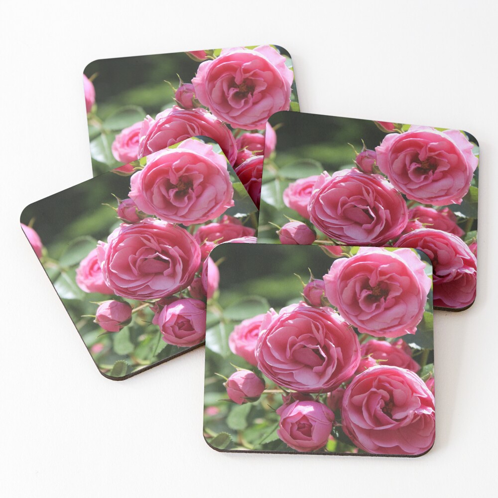 Item preview, Coasters (Set of 4) designed and sold by BlurredPines.