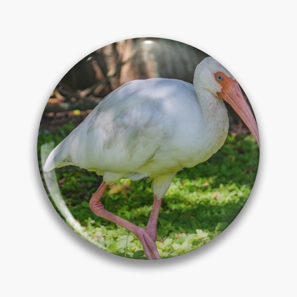 Item preview, Hopping White Ibis designed and sold by KensLensDesigns.