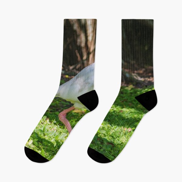 Item preview, Hopping White Ibis 2 designed and sold by KensLensDesigns.