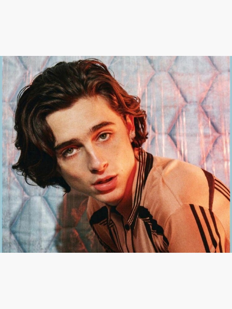 "Timothee Chalamet" Throw Blanket by kaylacraft3 Redbubble