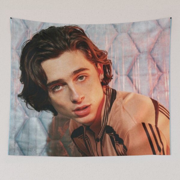 Item preview, Timothee Chalamet designed and sold by kaylacraft3.