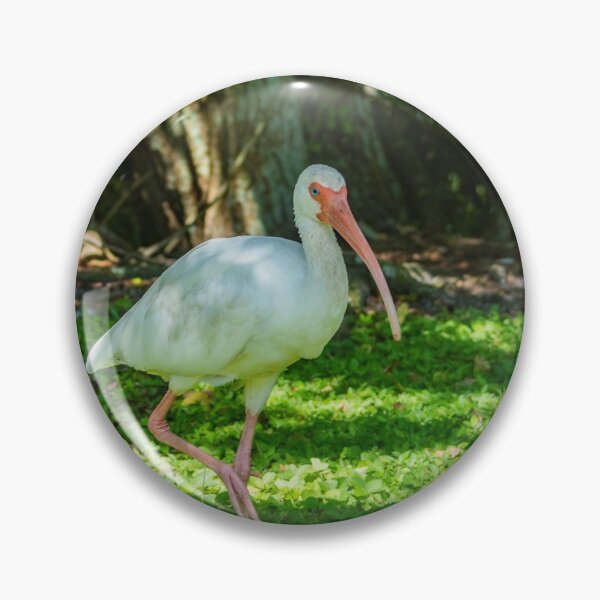 Item preview, Walking American Ibis designed and sold by KensLensDesigns.