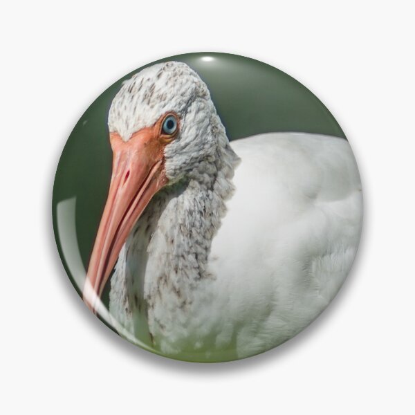 Item preview, Close up of a black and white Ibis 3 designed and sold by KensLensDesigns.