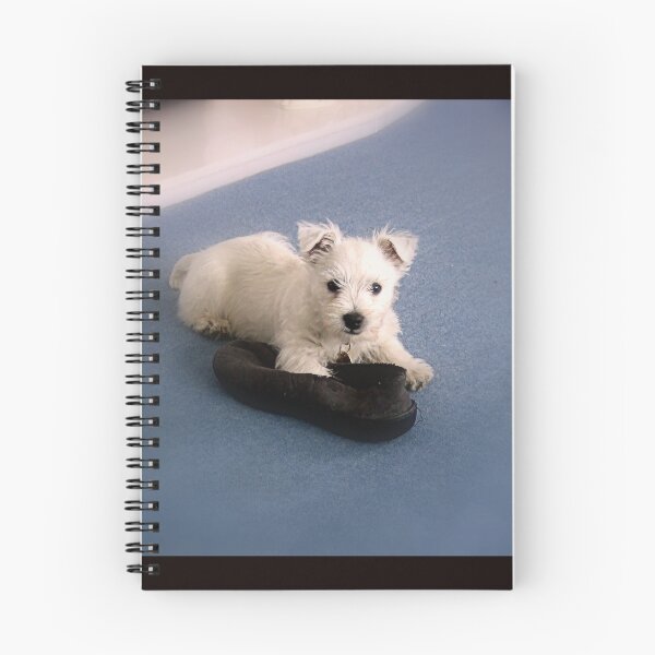 Item preview, Buddie and the Slipper designed and sold by William Lighterness.