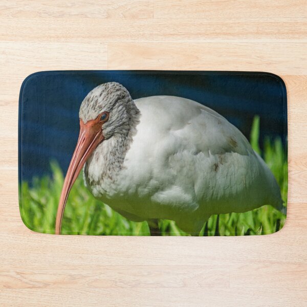 Item preview, American white ibis 2 + 2 designed and sold by KensLensDesigns.