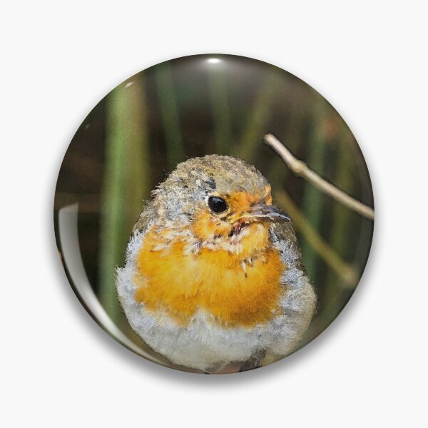 Item preview, Robin designed and sold by Tanya C  Smith.