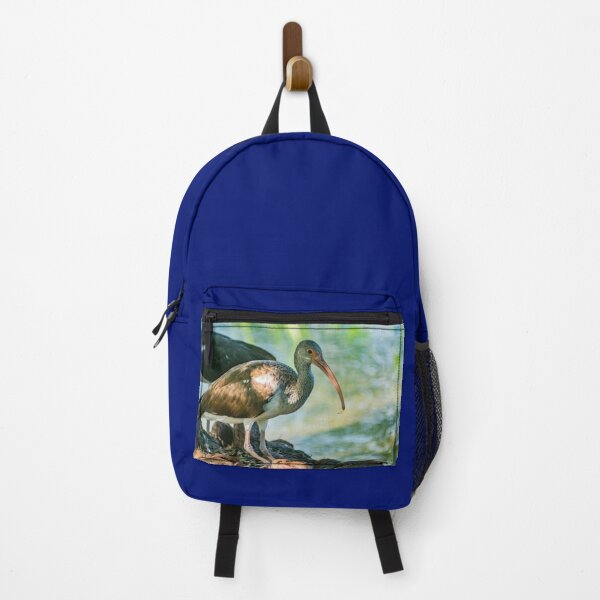 Item preview, American white ibis 3 designed and sold by KensLensDesigns.