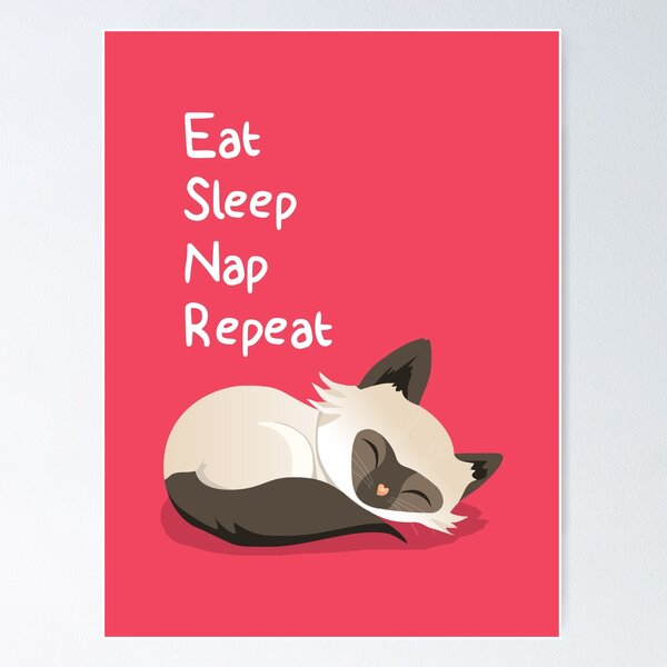 Pixel art cute cat Sleeping Poster for Sale by Robibahroni