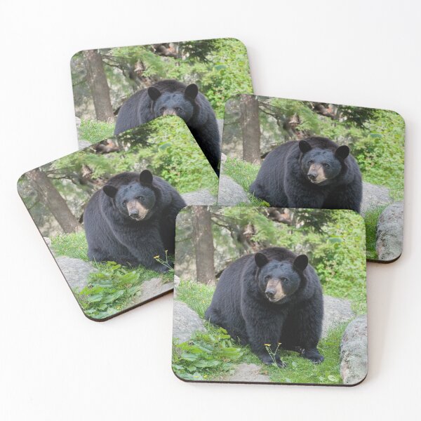 Item preview, Kind Eyes designed and sold by Karen Peron.