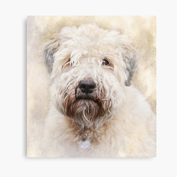 I miss you so much Canvas Print