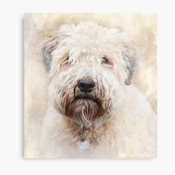 I miss you so much Metal Print