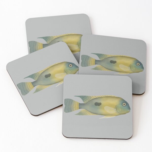 Item preview, Nicaragua Cichlid designed and sold by fishfolkart.