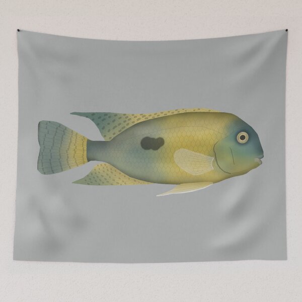 Item preview, Nicaragua Cichlid designed and sold by fishfolkart.