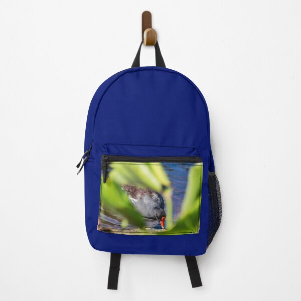 Item preview, Common gallinule in the green designed and sold by KensLensDesigns.