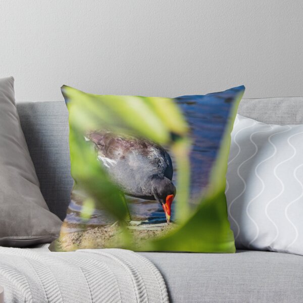 Item preview, Common gallinule in the green designed and sold by KensLensDesigns.