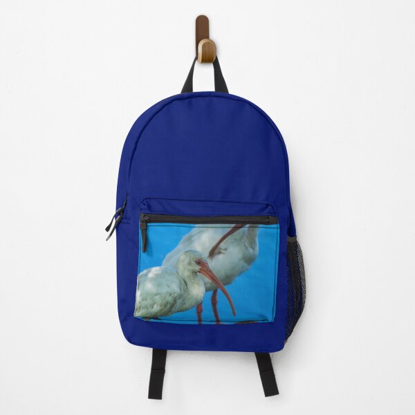 Item preview, Double fun with American white ibis designed and sold by KensLensDesigns.