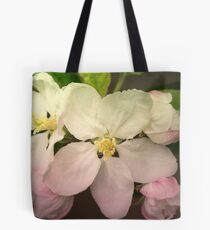 Pink / white Apple Flowers Tote Bag