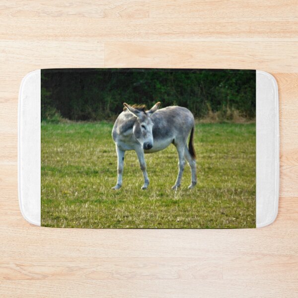 Item preview, Little gray donkey ... designed and sold by ART22.