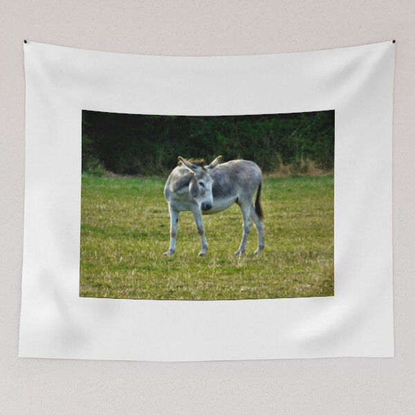 Item preview, Little gray donkey ... designed and sold by ART22.
