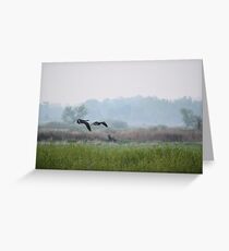 Morning Flight Greeting Card