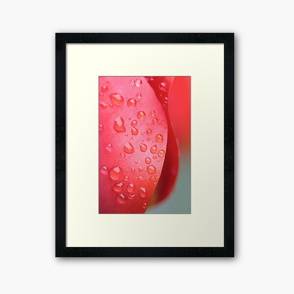 spring aperture Framed Art Print