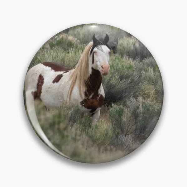 Item preview, South Steens Stallion with Cool Markings designed and sold by Belinda Greb Photography.