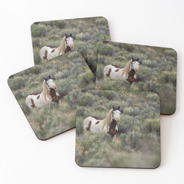 Item preview, South Steens Stallion with Cool Markings designed and sold by Belinda Greb Photography.
