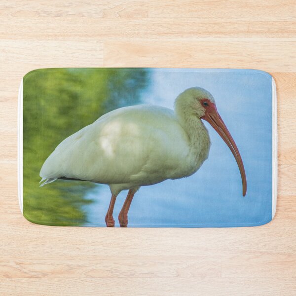 Item preview, American white ibis of Florida designed and sold by KensLensDesigns.