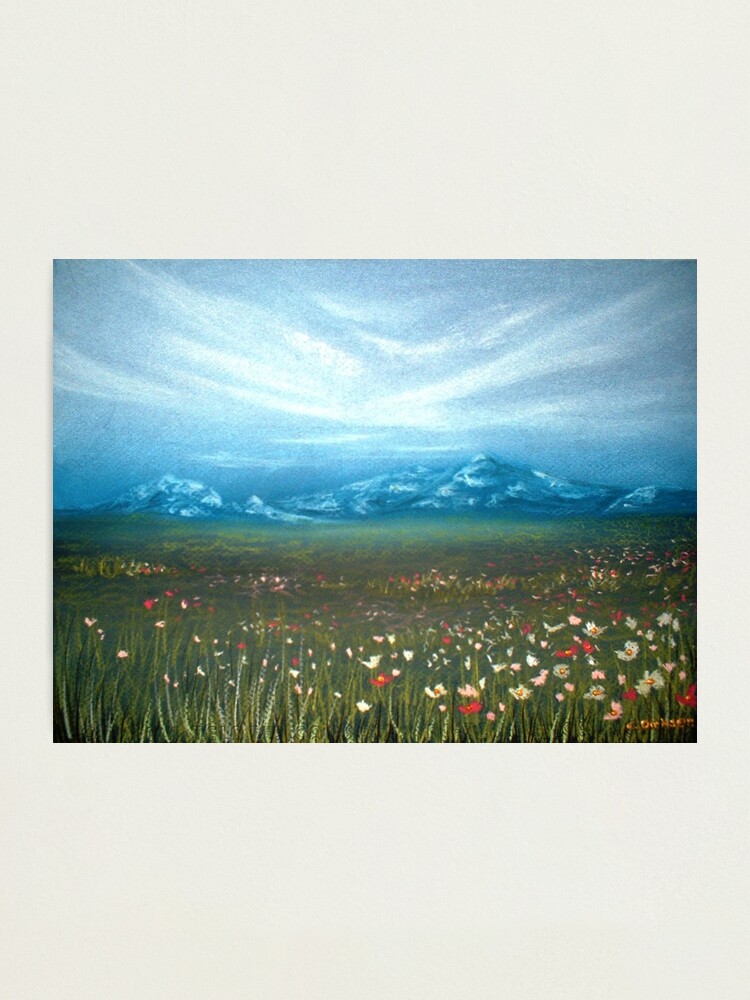 Alternate view of Field of Cosmos Photographic Print