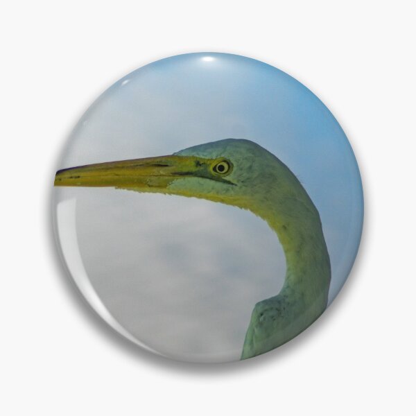 Item preview, Great egret of Florida designed and sold by KensLensDesigns.