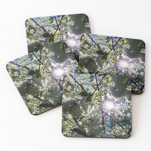 Item preview, Cherry blossoms in the sun designed and sold by Iambellanova.