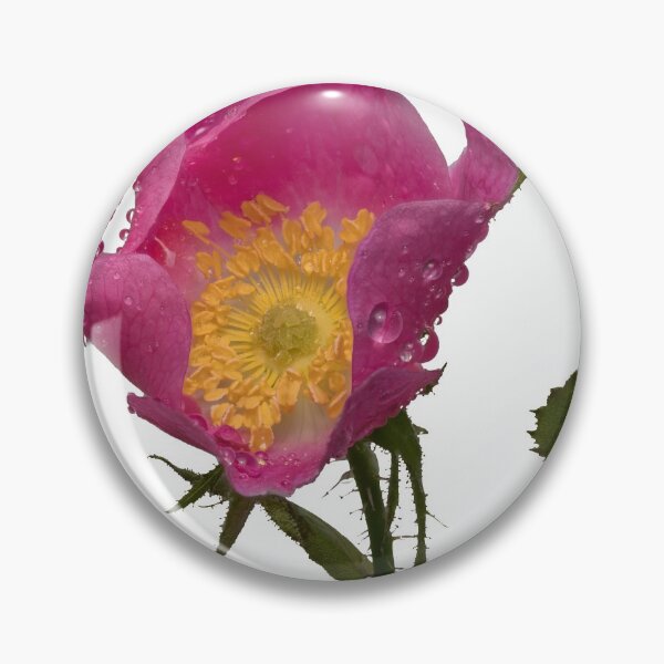 Item preview, Wet wild rose designed and sold by chanonry.