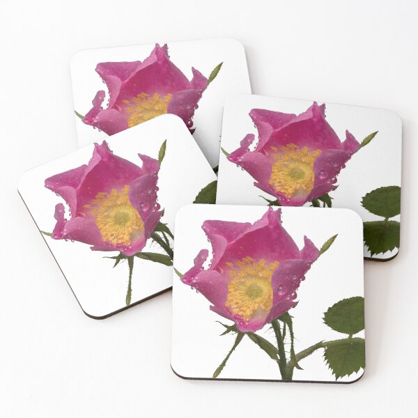 Item preview, Wet wild rose designed and sold by chanonry.