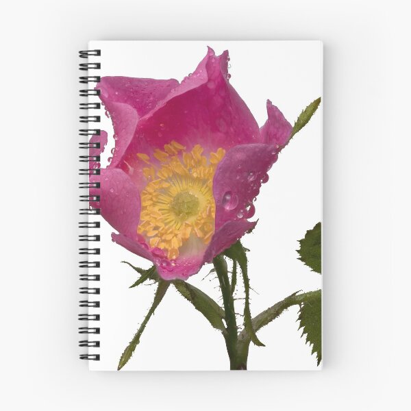 Item preview, Wet wild rose designed and sold by chanonry.
