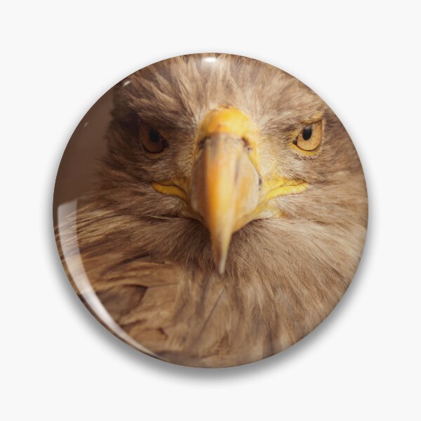 Item preview, brown eagle bird portrait designed and sold by Nikoleta Vukovic.