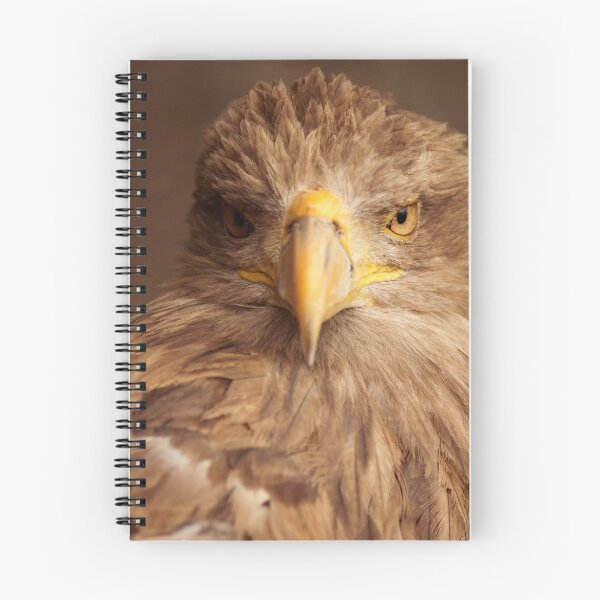 Item preview, brown eagle bird portrait designed and sold by Nikoleta Vukovic.