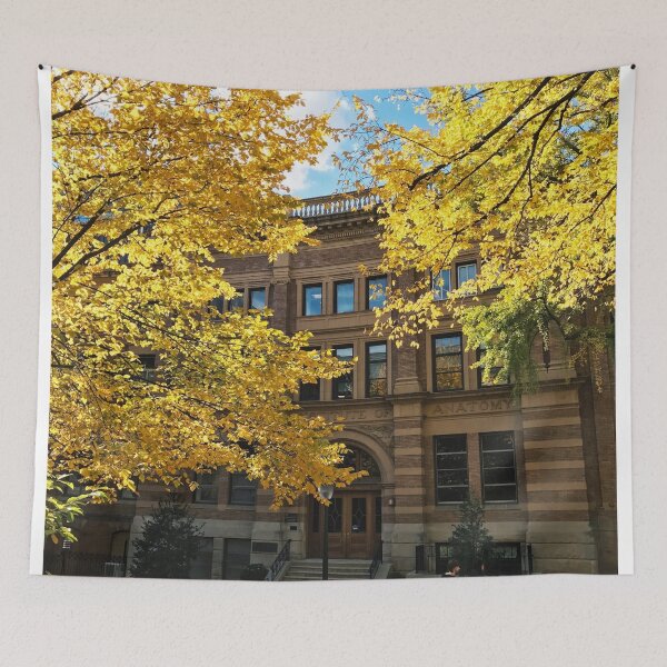 Item preview, Yellow Autumn Leaves UPenn Campus designed and sold by Rebecca Li.