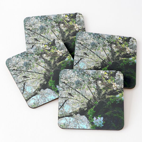 Item preview, Cherry blossoms in the sunshine designed and sold by Iambellanova.