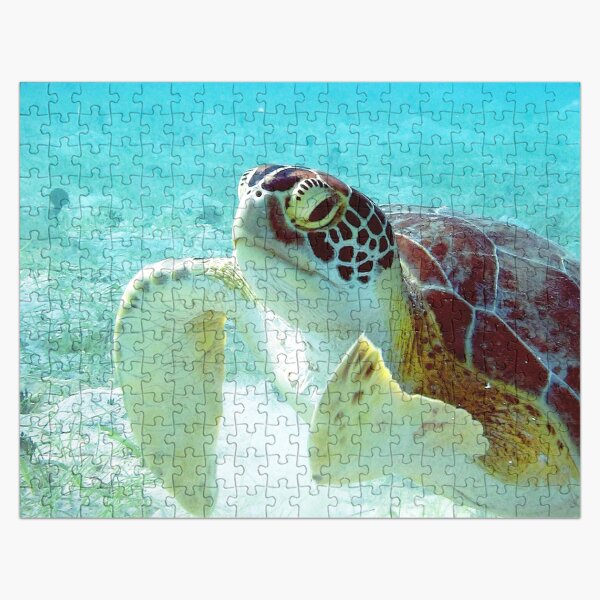 Watercolor Turtle, Green Turtle 19, St John, USVI Jigsaw Puzzle