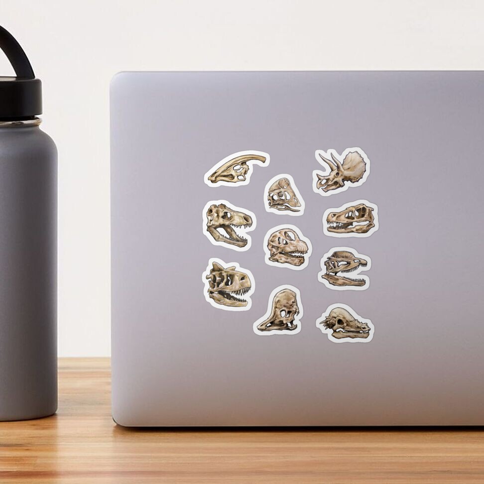 Dinosaur Skull Stickers Set Sticker