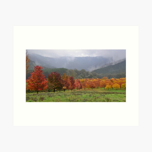Item preview, Autumn, Myrtleford, Vic designed and sold by patapping.