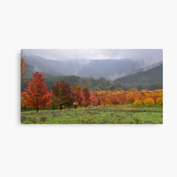Item preview, Autumn, Myrtleford, Vic designed and sold by patapping.