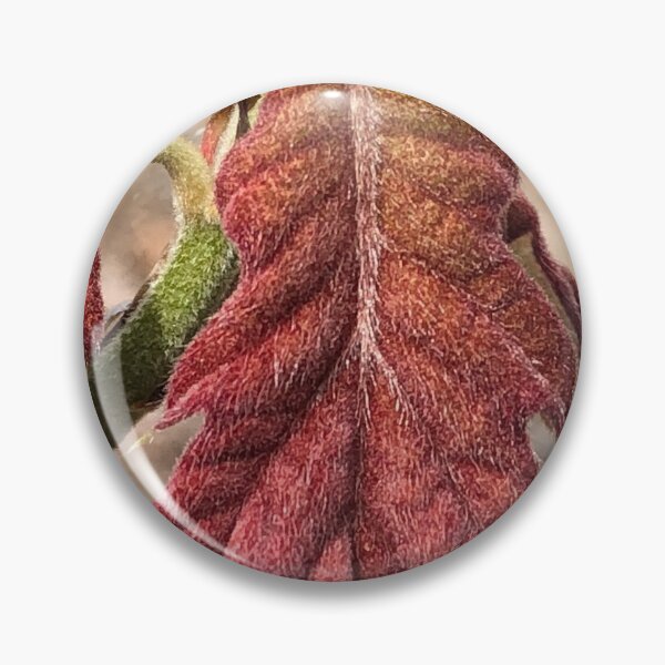 Item preview, A New Oak Leaf  designed and sold by Paula Betz.
