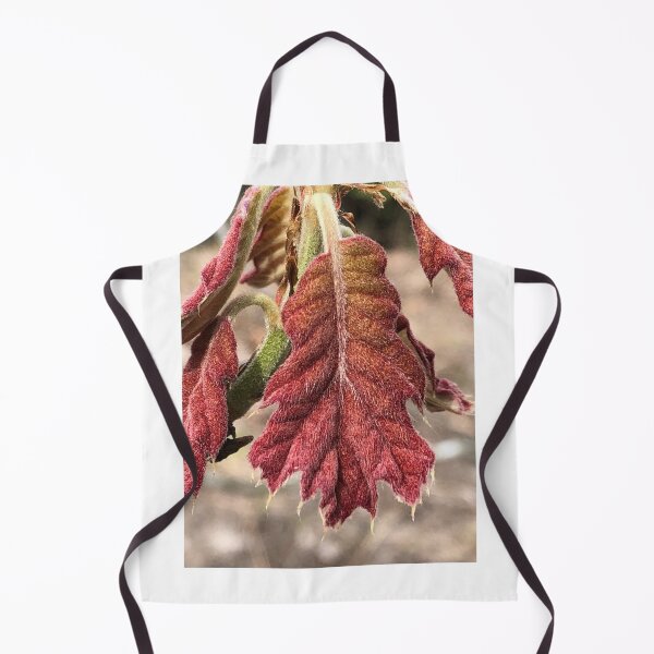 Item preview, A New Oak Leaf  designed and sold by Paula Betz.