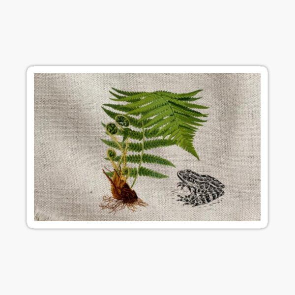 Forest Fern Frog Sticker