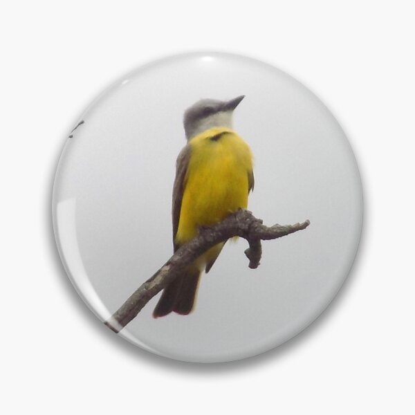 Item preview, Kingbird (Tyrannus sp.) in an Orchid Tree designed and sold by Inuyasha907.