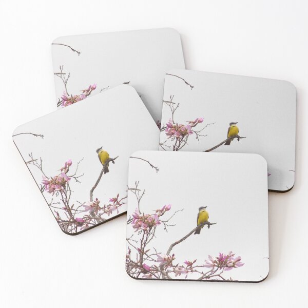 Item preview, Kingbird (Tyrannus sp.) in an Orchid Tree designed and sold by Inuyasha907.