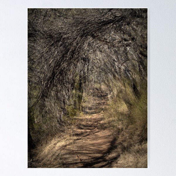 Item preview, The Path We Take designed and sold by Ben Loveday.