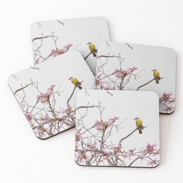 Item preview, Kingbird (Tyrannus sp.) in an Orchid Tree 2 designed and sold by Inuyasha907.