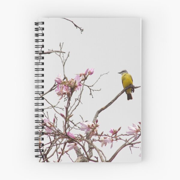 Item preview, Kingbird (Tyrannus sp.) in an Orchid Tree 2 designed and sold by Inuyasha907.